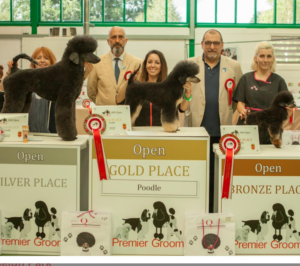 The Groomers Spotlight | Premier Groom 9th August 2020