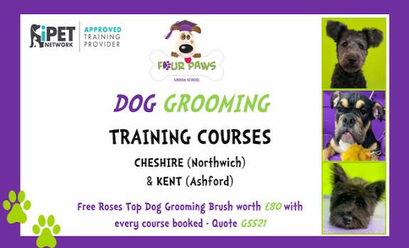 The Groomers Spotlight | Four Paws Groom School - Ashford, Kent & Northwich, Cheshire