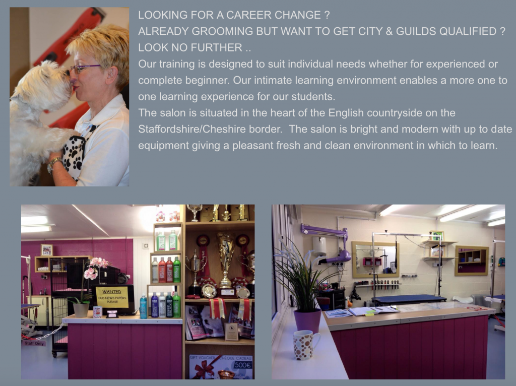 The Groomers Spotlight Lynnsto Grooming Academy Stoke on Trent