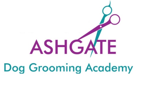 The Groomers Spotlight | Ashgate Dog Grooming Academy - Somerset