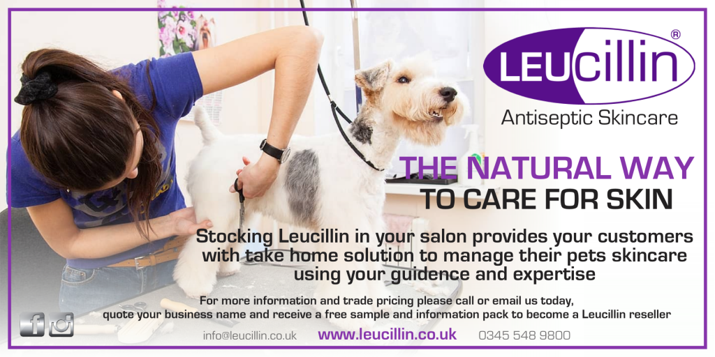 The Groomers Spotlight Pet Groomers Home