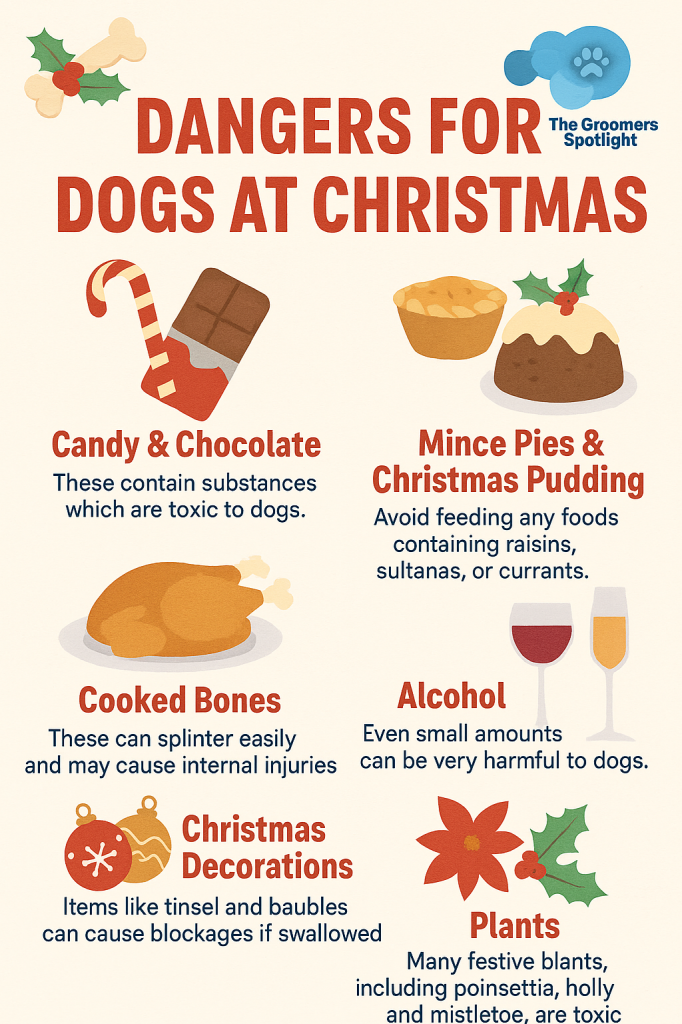 XMAS DANGERS FOR DOGS