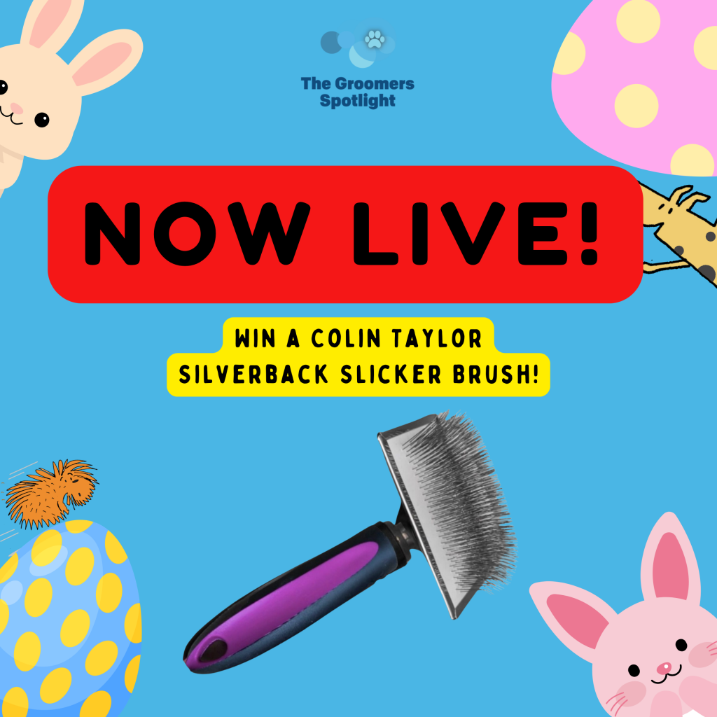 LOOK FOR THE BUNNIES! Annual Easter Hunt is HERE!